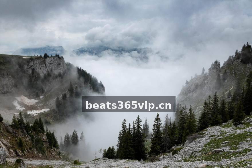 beats365多终端客户端界面展示