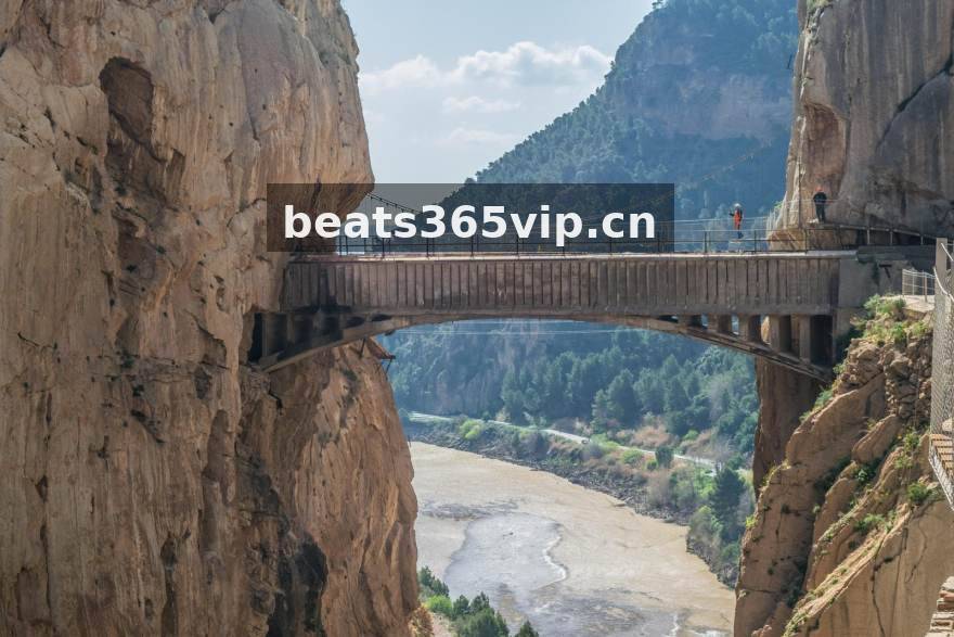 beats365体育赛事数据平台全景展示