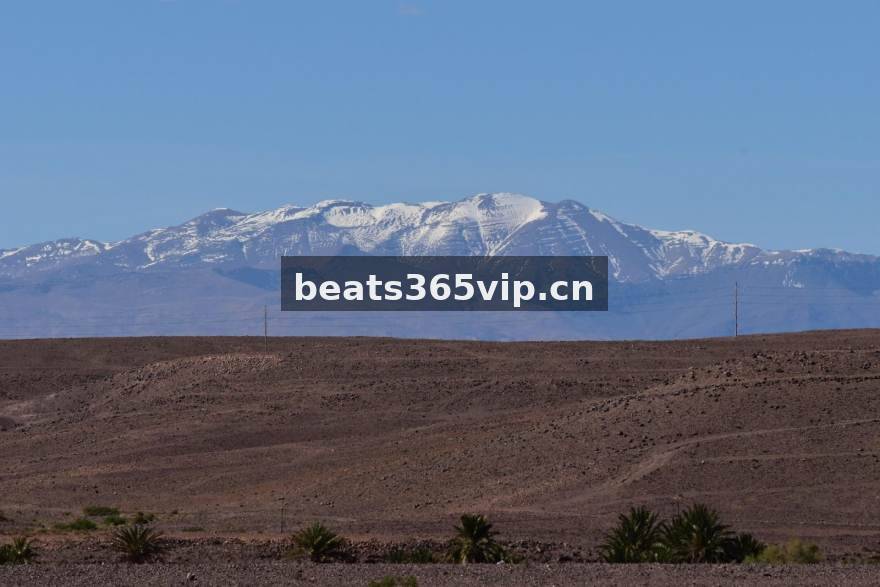beats365编辑部团队协作场景
